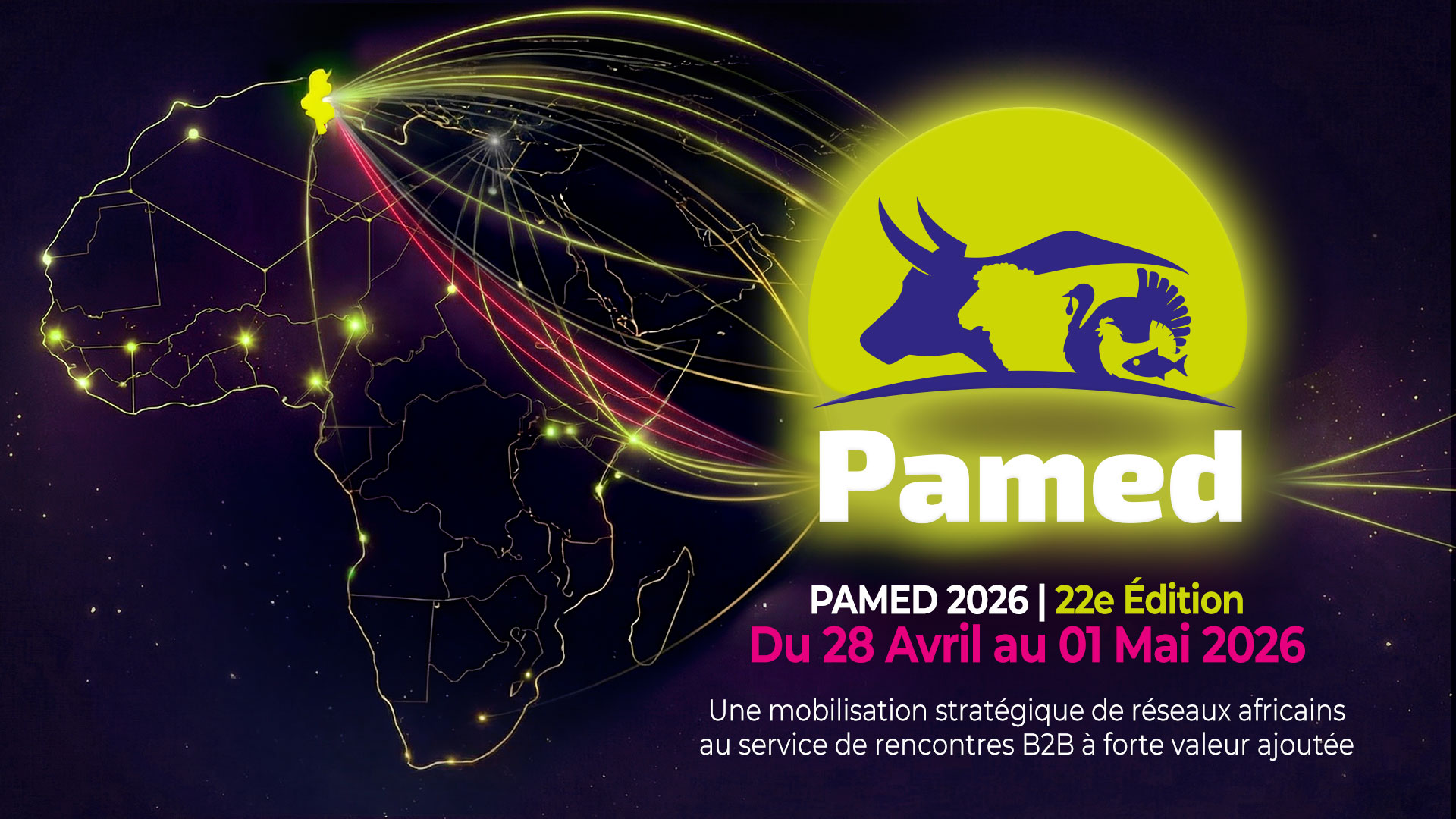 banner-pamed-25032026